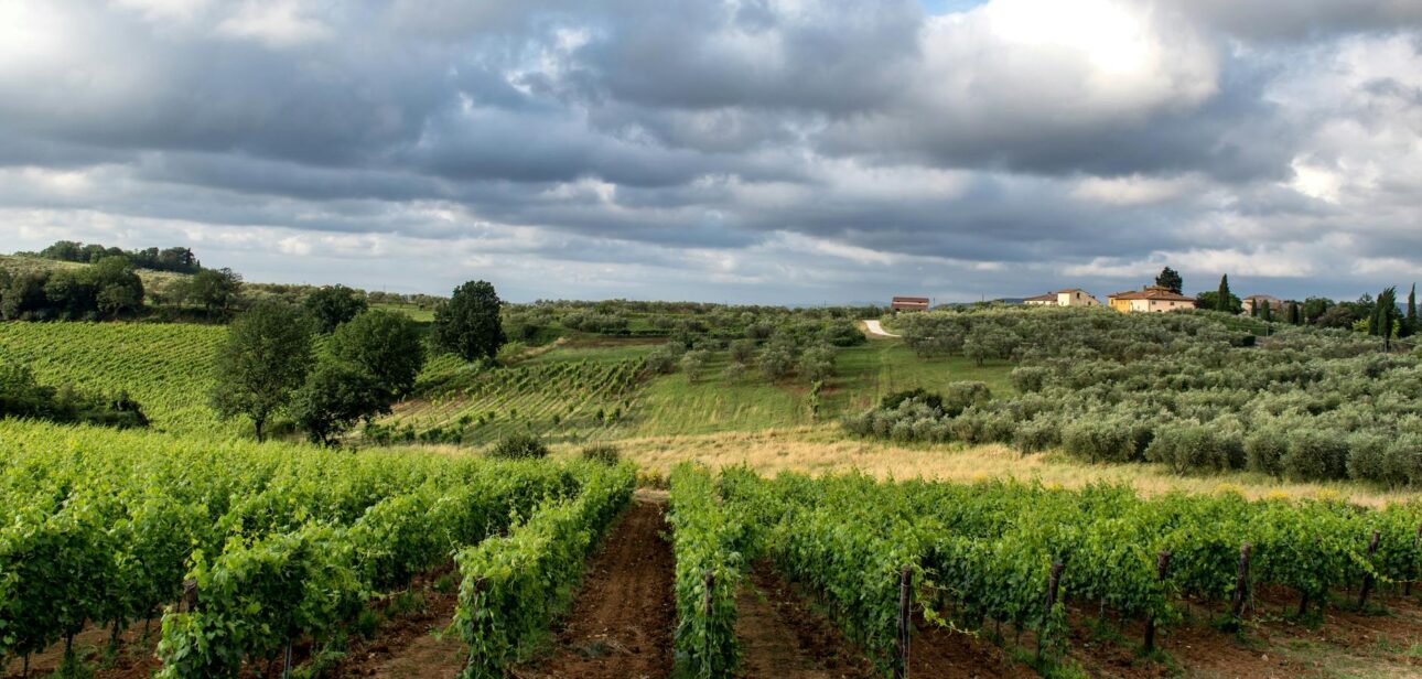 deluxetravelclub_biuro podroży toskania-43_4.jpg